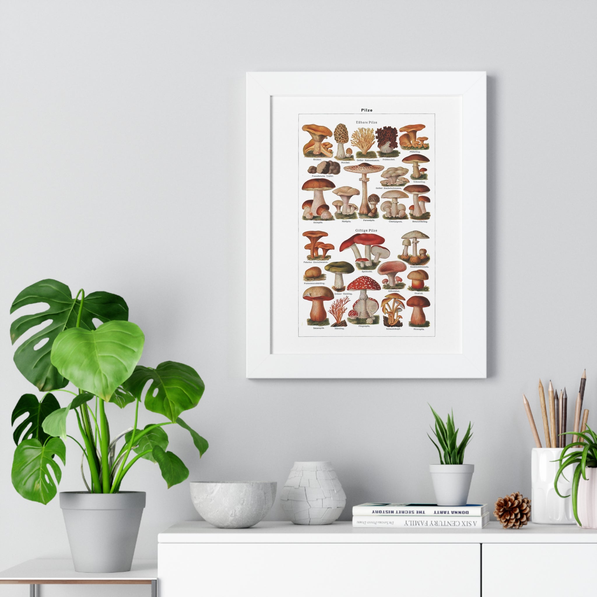 Framed Vertical Poster - Diverse Mushroom (Fungi) Species Print