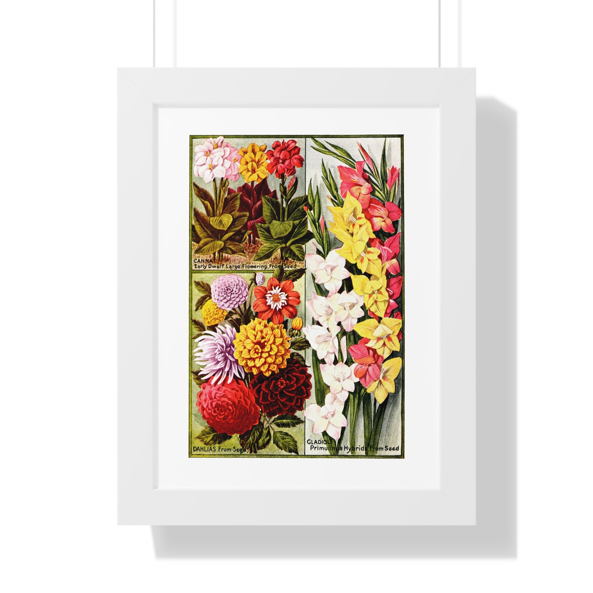 Framed Vertical Poster - Childs' Seeds, Flower Catalog Plate