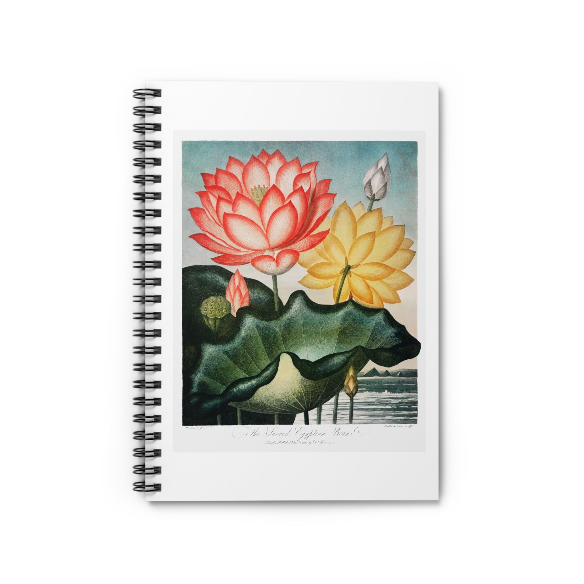 Spiral Notebook (Ruled Line) - The Sacred Egyptian Bean from The Temple of Flora