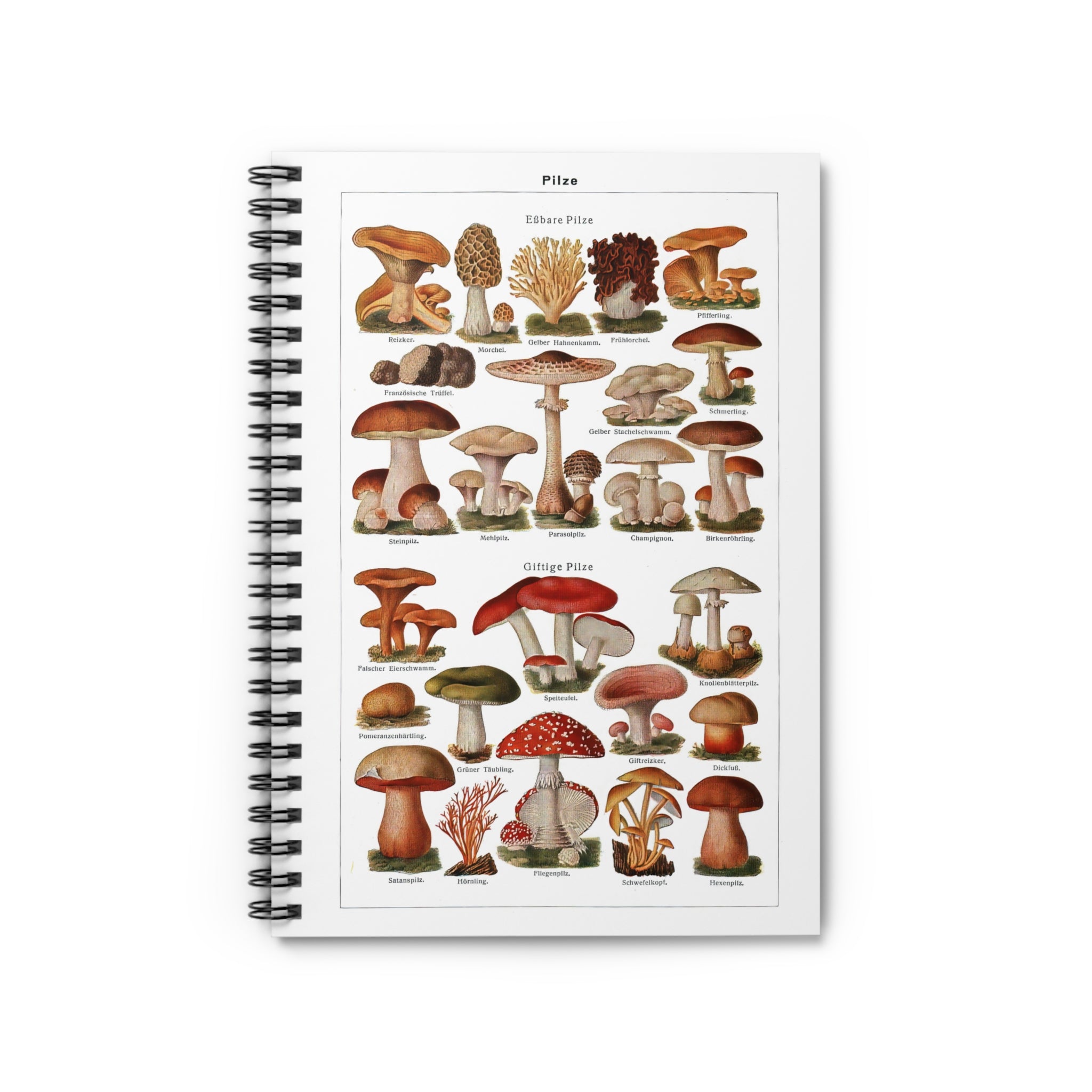 Spiral Notebook (Ruled Line) - Diverse Mushroom (Fungi) Species Print
