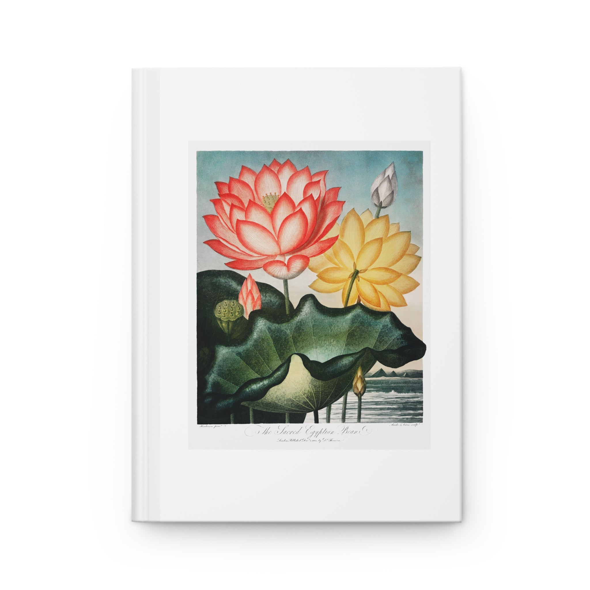 Hardcover Journal Matte - The Sacred Egyptian Bean from The Temple of Flora