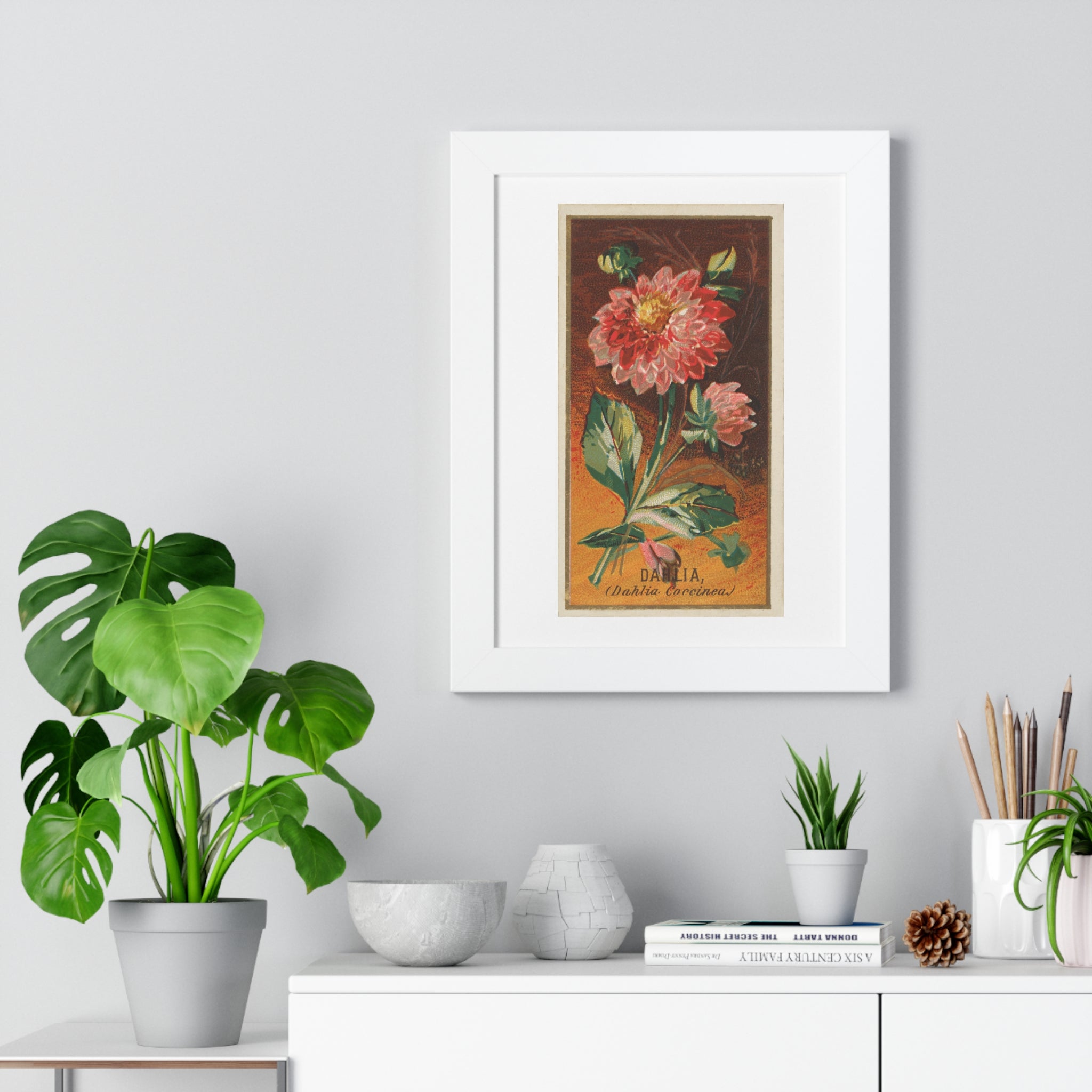 Framed Vertical Poster - Dahlia Coccinea Flower Artwork (1890)