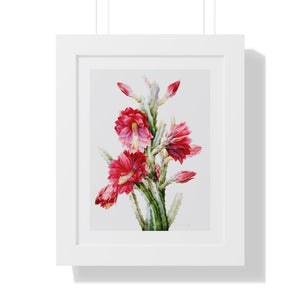 Framed Vertical Poster - A Flowering Cactus: Heliocereus Speciosus