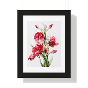 Framed Vertical Poster - A Flowering Cactus: Heliocereus Speciosus
