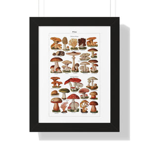 Framed Vertical Poster - Diverse Mushroom (Fungi) Species Print