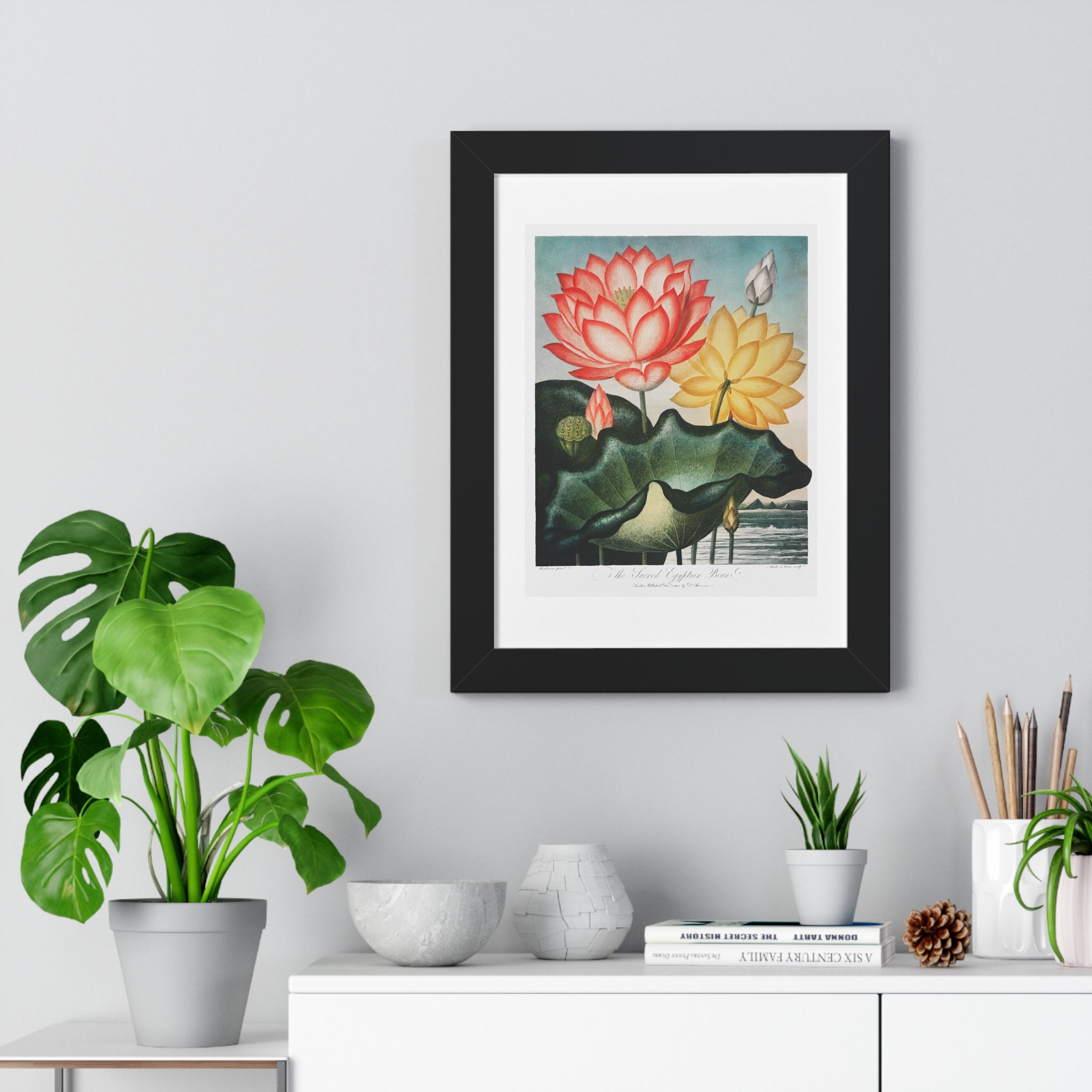 Framed Vertical Poster - The Sacred Egyptian Bean from The Temple of Flora