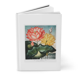 Hardcover Journal Matte - The Sacred Egyptian Bean from The Temple of Flora