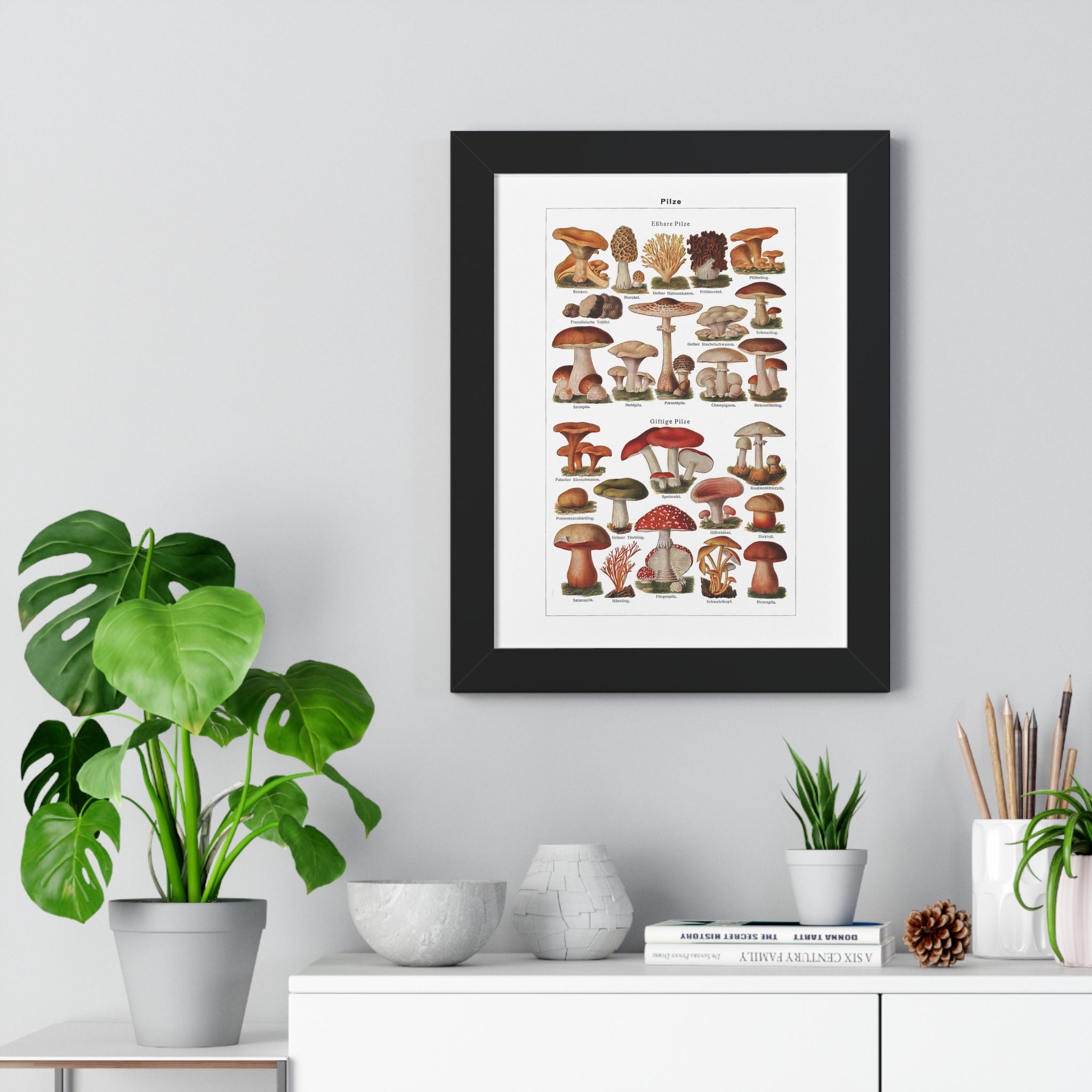 Framed Vertical Poster - Diverse Mushroom (Fungi) Species Print