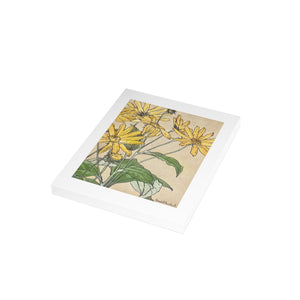 Postcard Bundles (envelopes included) - Sunflowers Print