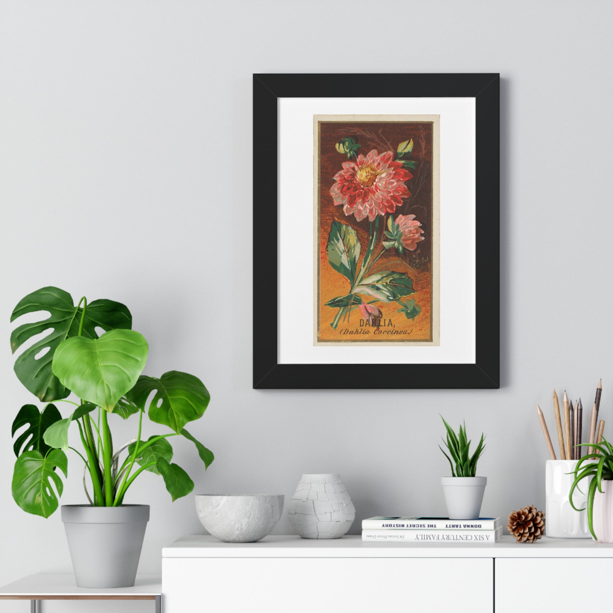 Framed Vertical Poster - Dahlia Coccinea Flower Artwork (1890)
