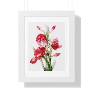 Framed Vertical Poster - A Flowering Cactus: Heliocereus Speciosus