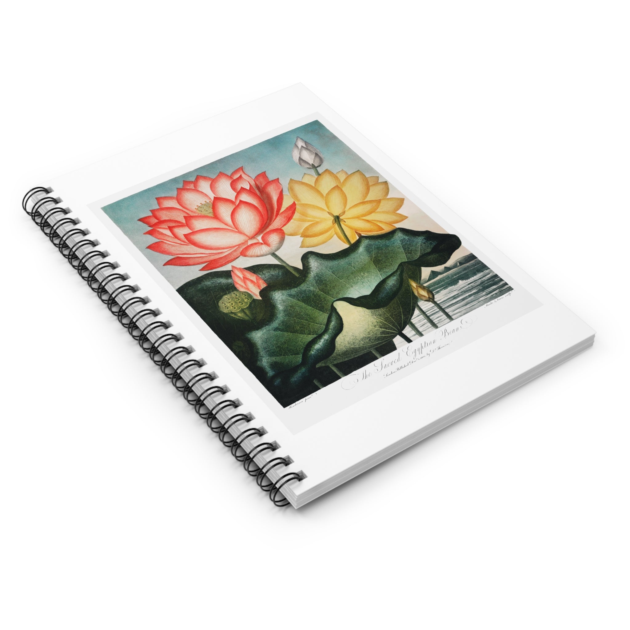 Spiral Notebook (Ruled Line) - The Sacred Egyptian Bean from The Temple of Flora