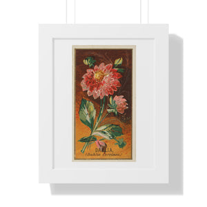 Framed Vertical Poster - Dahlia Coccinea Flower Artwork (1890)