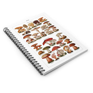 Spiral Notebook (Ruled Line) - Diverse Mushroom (Fungi) Species Print
