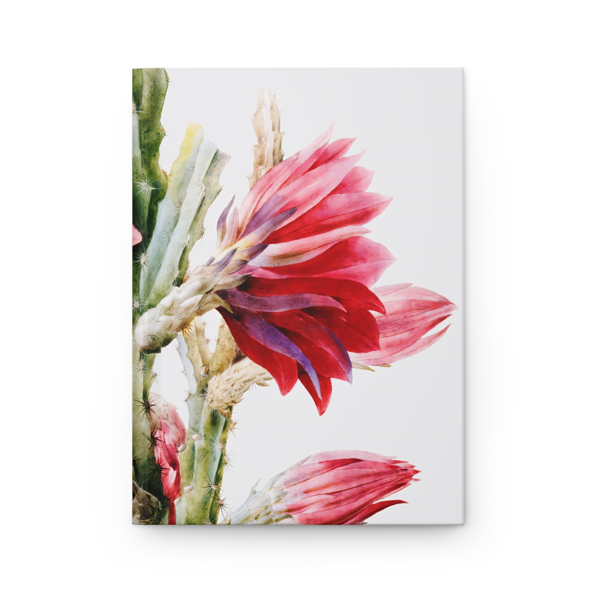 Hardcover Journal Matte - A Flowering Cactus: Heliocereus Speciosus