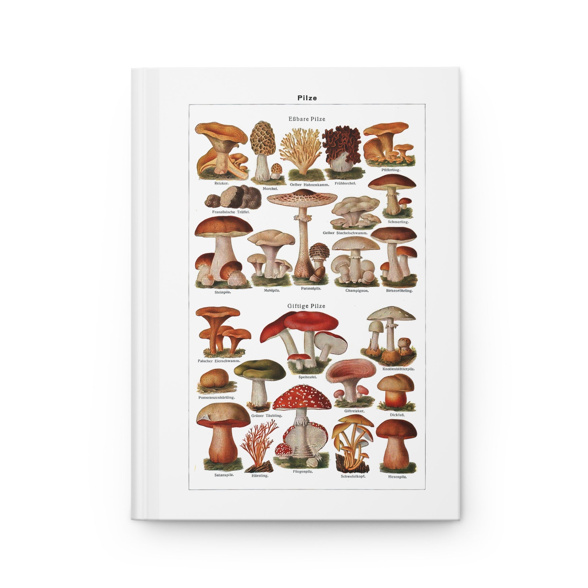 Hardcover Journal Matte - Diverse Mushroom (Fungi) Species Print