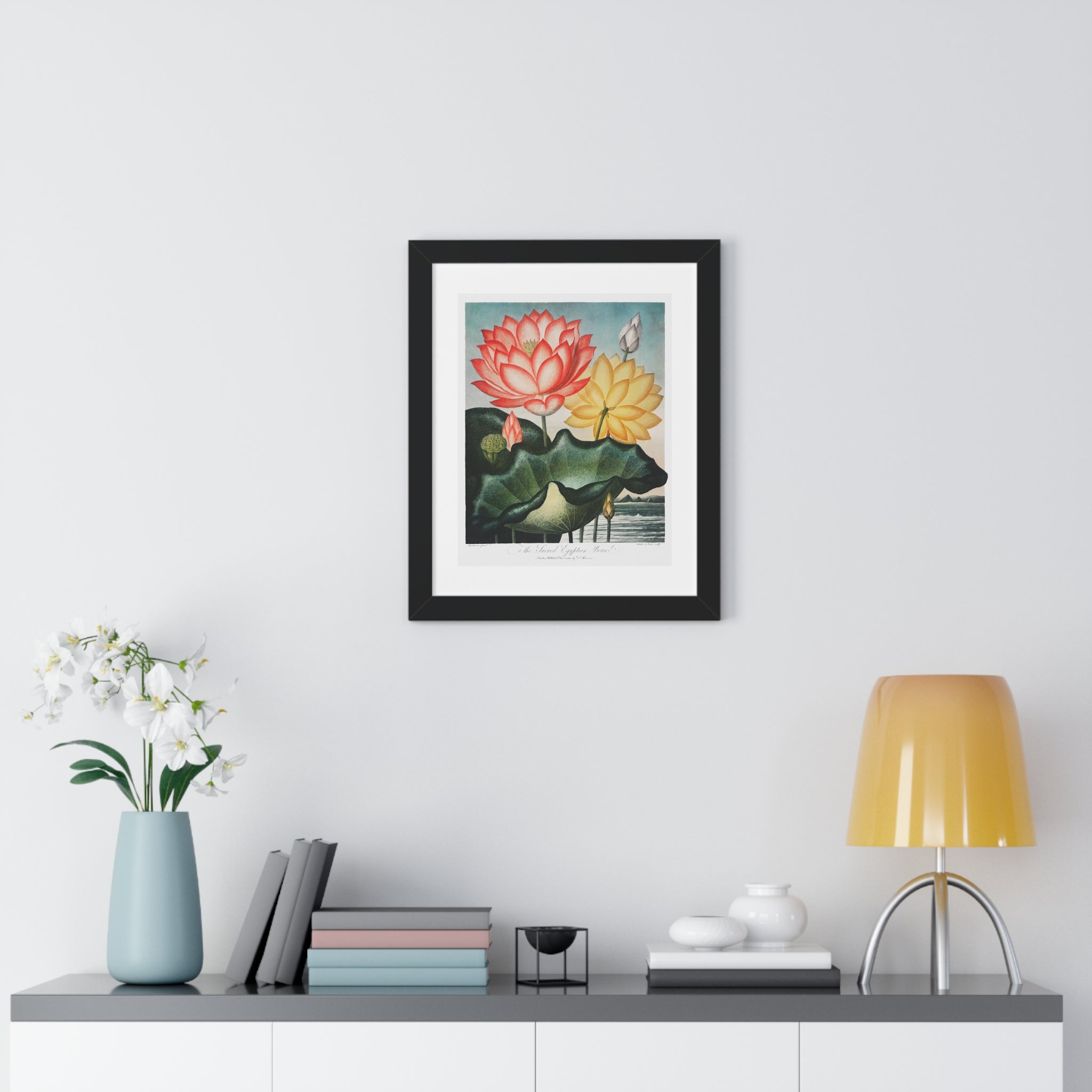 Framed Vertical Poster - The Sacred Egyptian Bean from The Temple of Flora