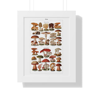 Framed Vertical Poster - Diverse Mushroom (Fungi) Species Print