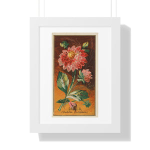 Framed Vertical Poster - Dahlia Coccinea Flower Artwork (1890)