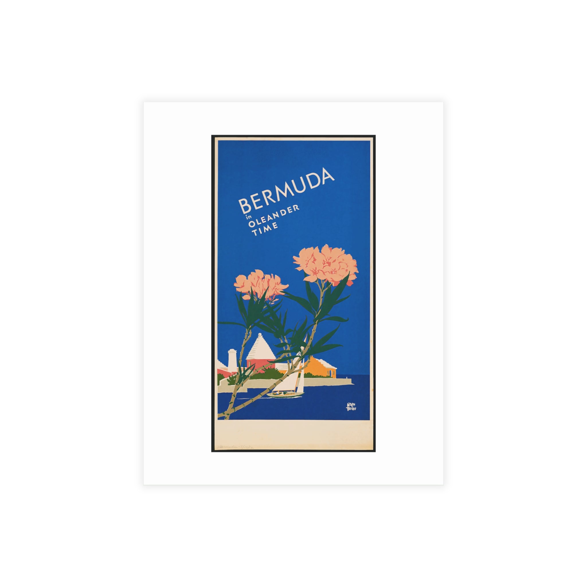 Postcard Bundles (envelopes included) - Bermuda in Oleander Time