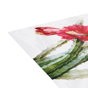 Postcard Bundles (envelopes included) - A Flowering Cactus: Heliocereus Speciosus