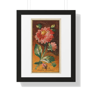 Framed Vertical Poster - Dahlia Coccinea Flower Artwork (1890)