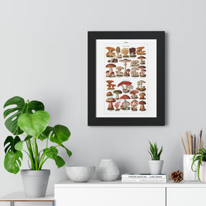 Framed Vertical Poster - Diverse Mushroom (Fungi) Species Print