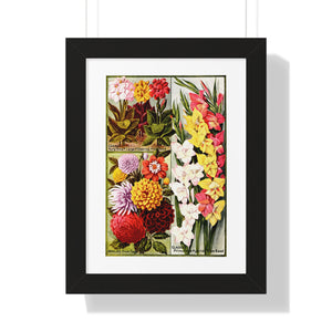 Framed Vertical Poster - Childs' Seeds, Flower Catalog Plate