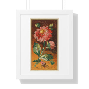 Framed Vertical Poster - Dahlia Coccinea Flower Artwork (1890)