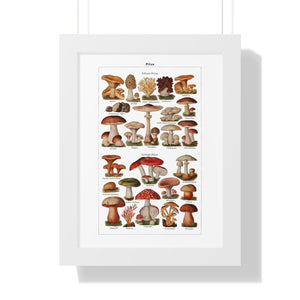 Framed Vertical Poster - Diverse Mushroom (Fungi) Species Print