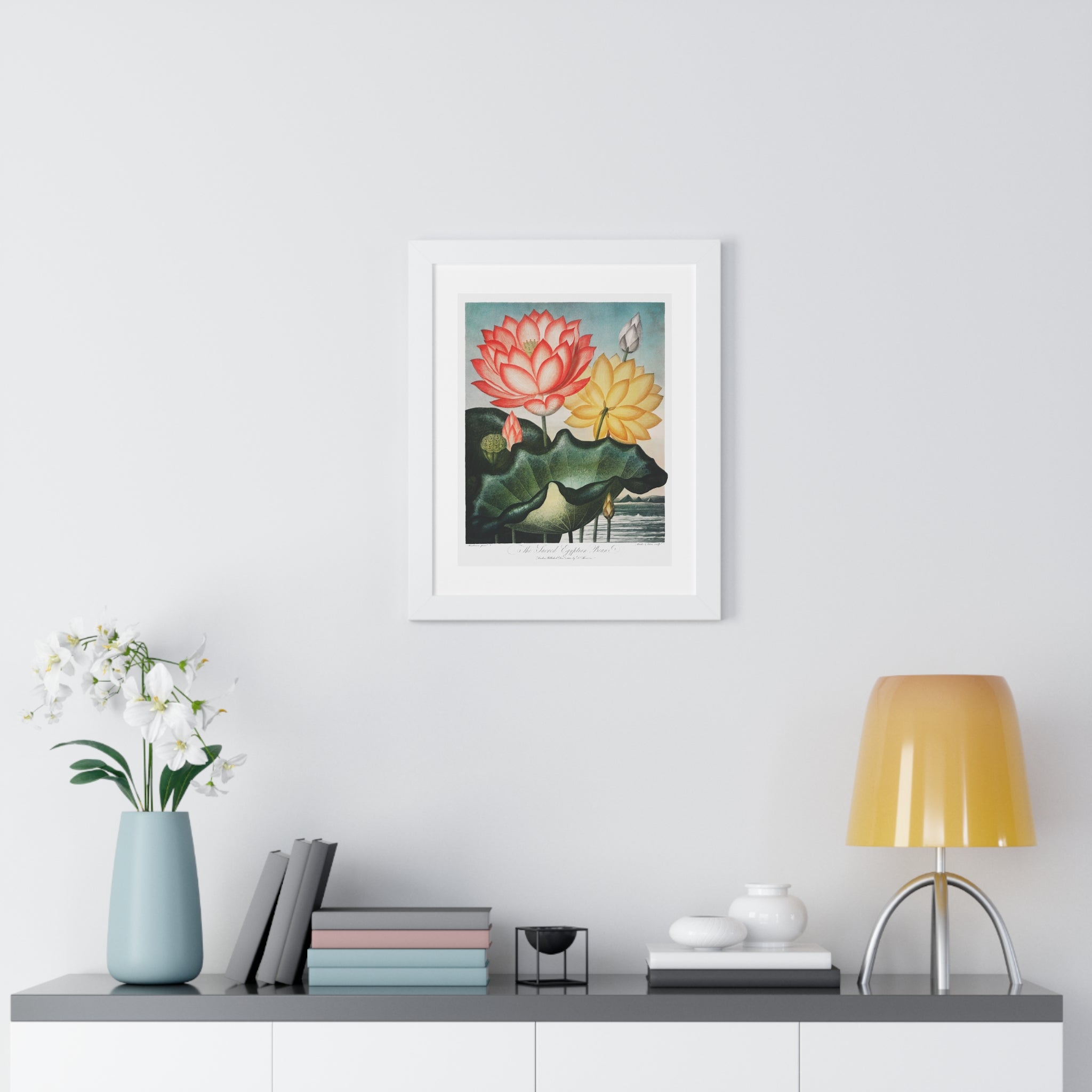 Framed Vertical Poster - The Sacred Egyptian Bean from The Temple of Flora