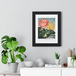 Framed Vertical Poster - The Sacred Egyptian Bean from The Temple of Flora