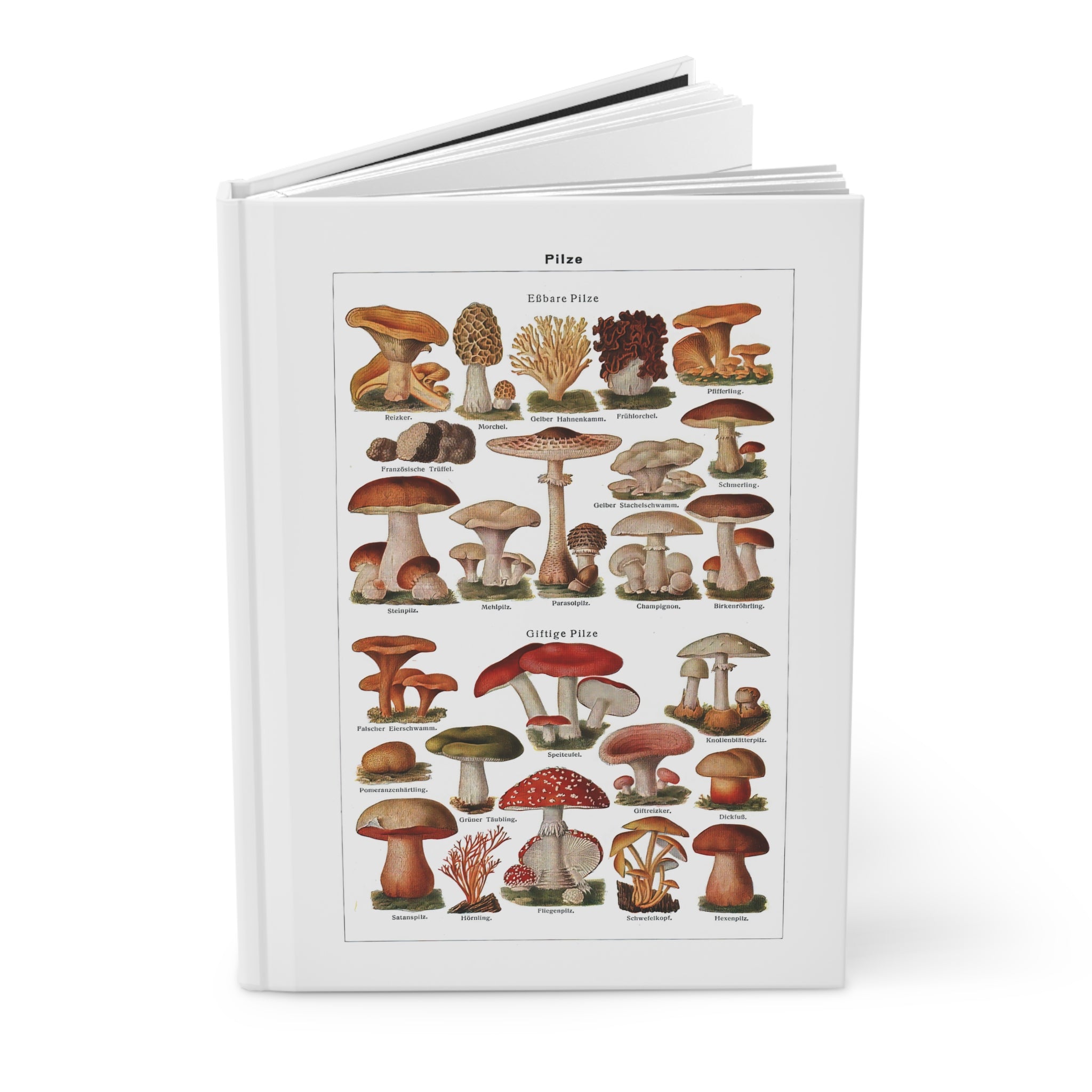 Hardcover Journal Matte - Diverse Mushroom (Fungi) Species Print