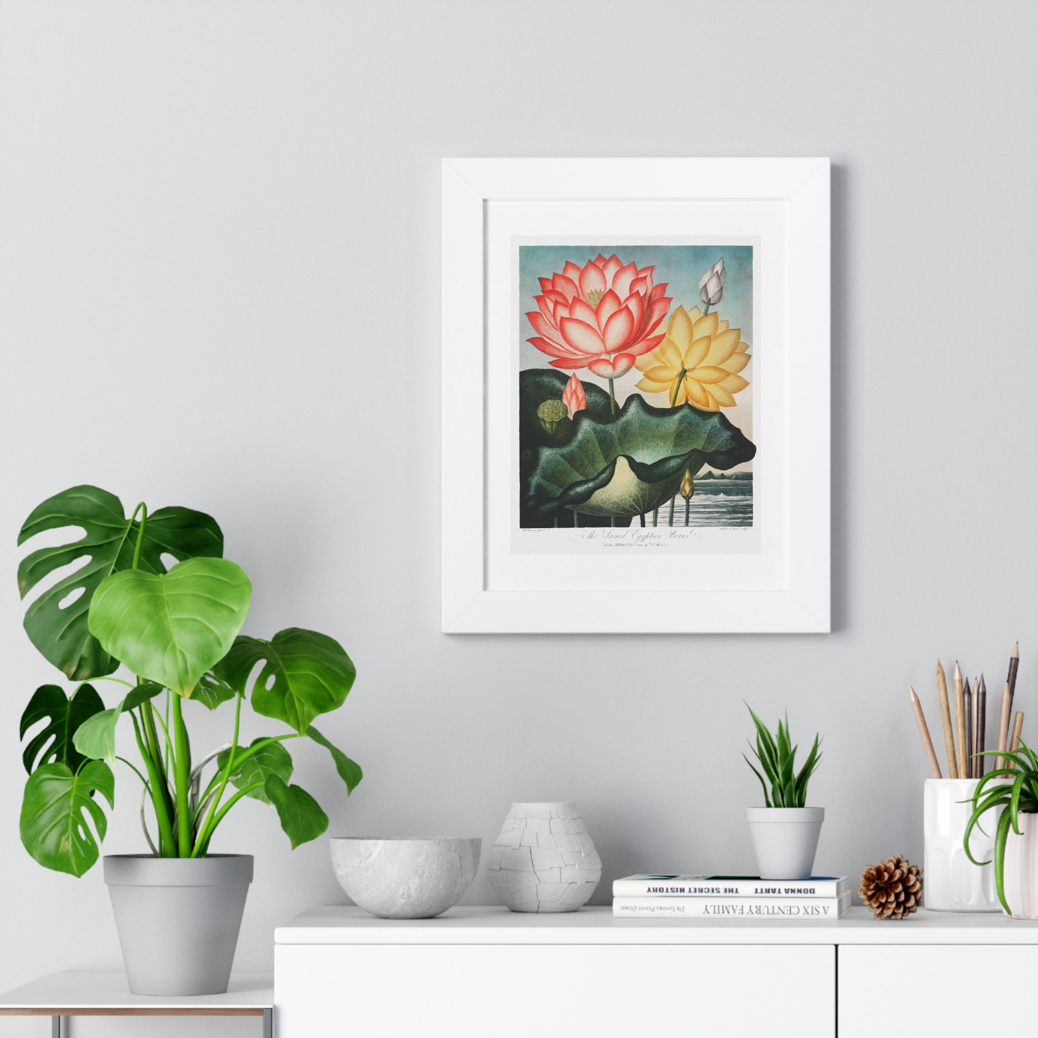Framed Vertical Poster - The Sacred Egyptian Bean from The Temple of Flora
