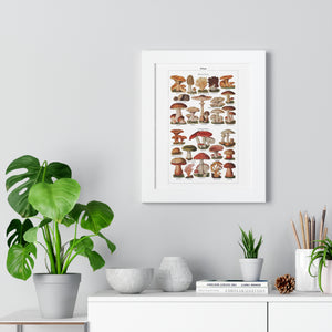 Framed Vertical Poster - Diverse Mushroom (Fungi) Species Print