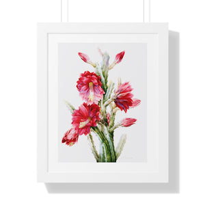 Framed Vertical Poster - A Flowering Cactus: Heliocereus Speciosus