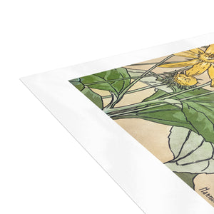 Postcard Bundles (envelopes included) - Sunflowers Print