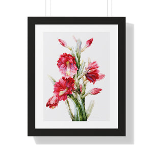 Framed Vertical Poster - A Flowering Cactus: Heliocereus Speciosus
