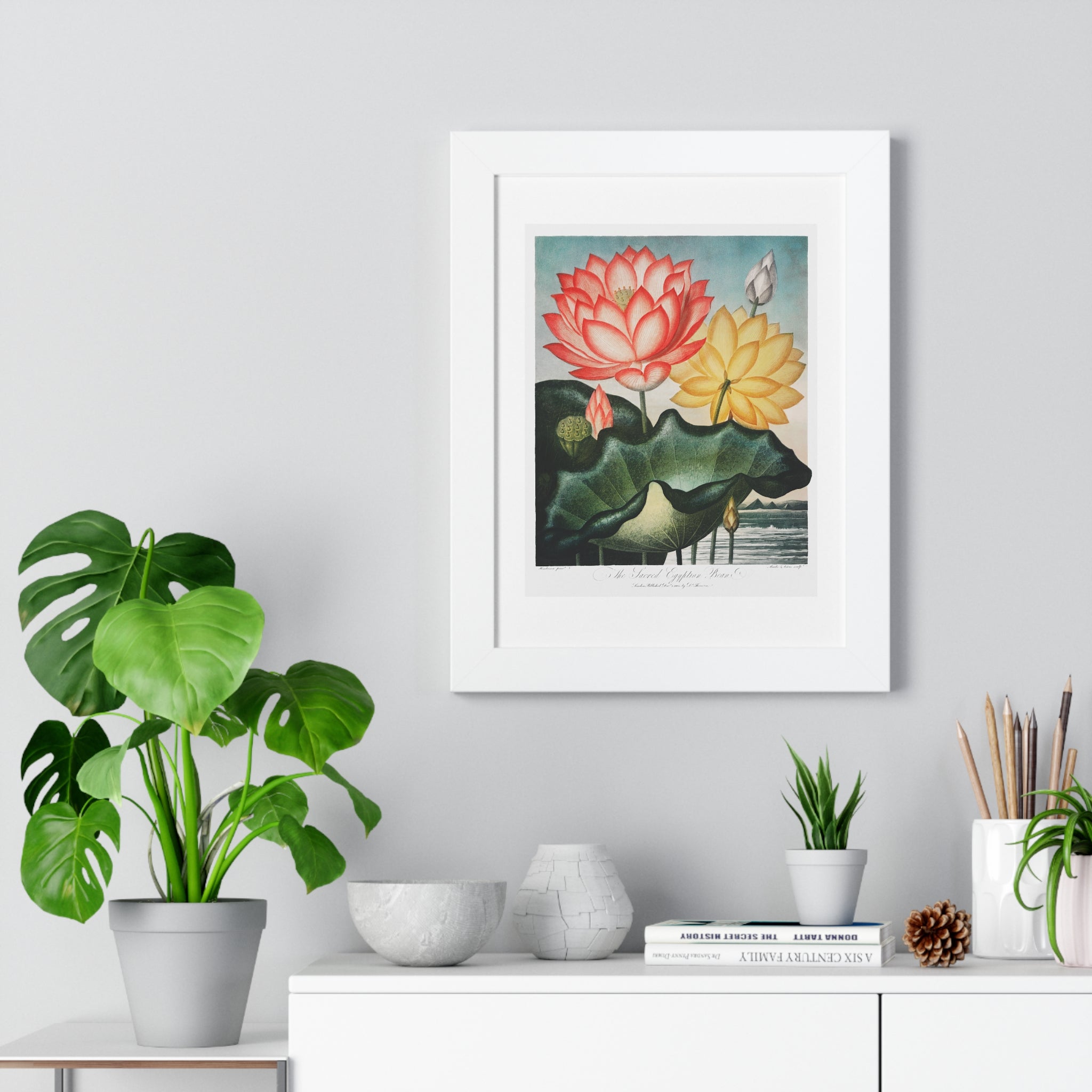 Framed Vertical Poster - The Sacred Egyptian Bean from The Temple of Flora