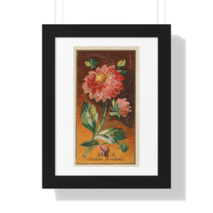 Framed Vertical Poster - Dahlia Coccinea Flower Artwork (1890)