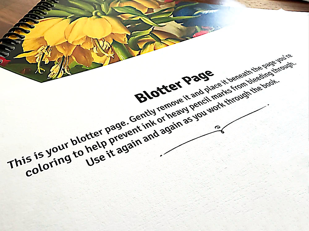 Feature blotter page c404758d 2235 4541 b392 462ce041ce80